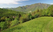 20 Tra scorciatoie e mulattiere mi alzo sopra Bosco Fuori...